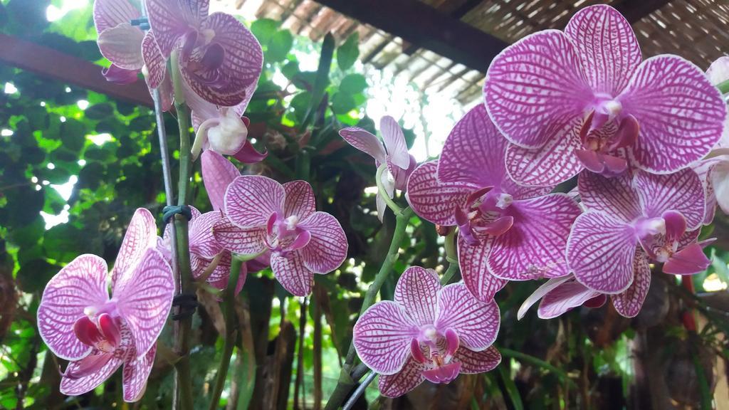 Art Hotel Cristal De Igatu Ngoại thất bức ảnh